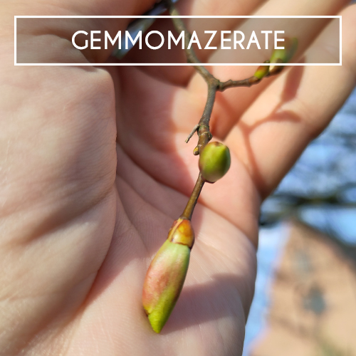 Gemmomazerate