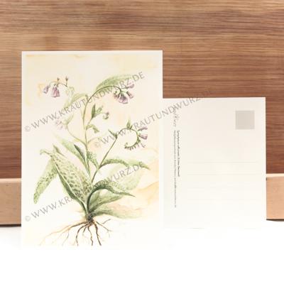 Postkarte - Echter Beinwell