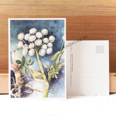 Postkarte - Wald-Engelwurz