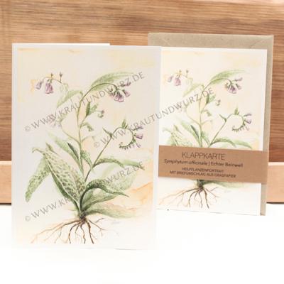 Klappkarte - Echter Beinwell