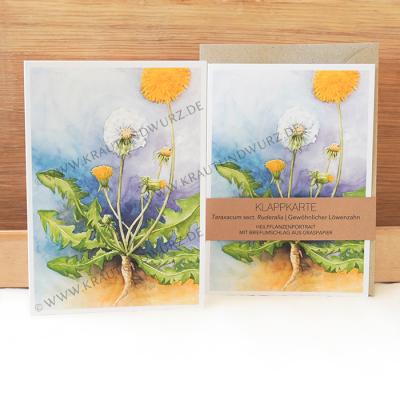 Klappkarte - Gewöhnlicher Löwenzahn
