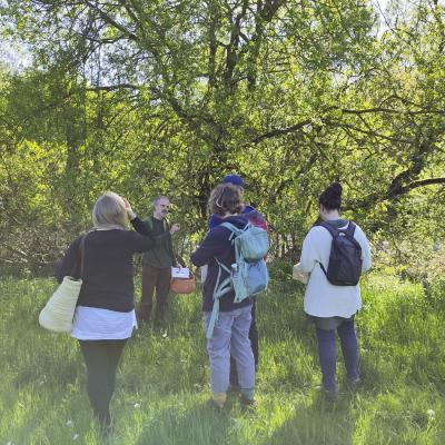 Kräuterspaziergang im frischen Grün