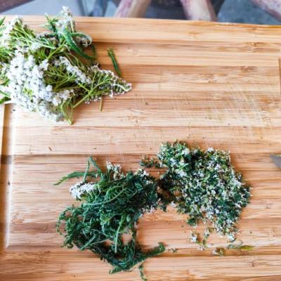 In der Kräuterwerkstatt